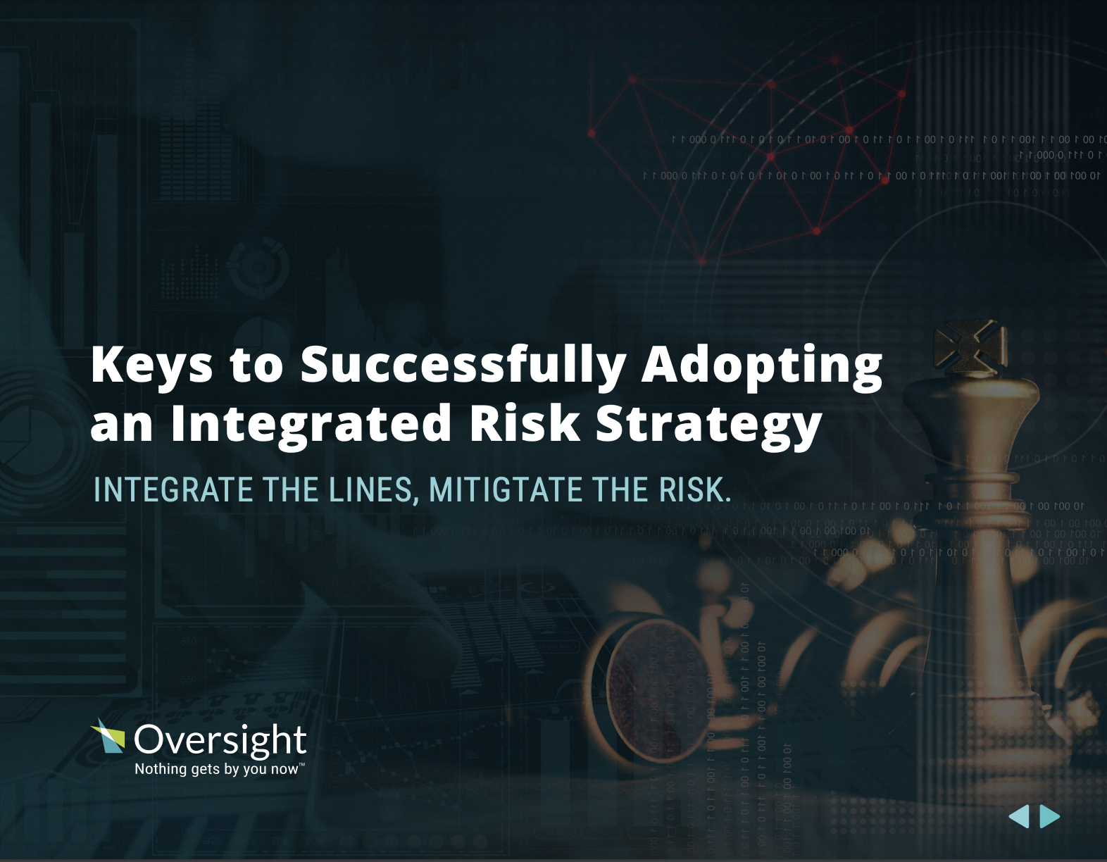 Integrated Risk Strategy