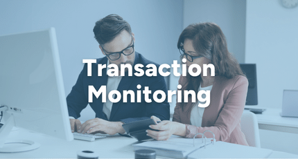 Oversight for FCPA Transaction Monitoring