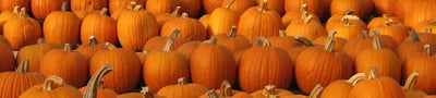 pumpkins-banner.jpg